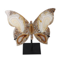 Agate Butterfly With Metal Base 628600
